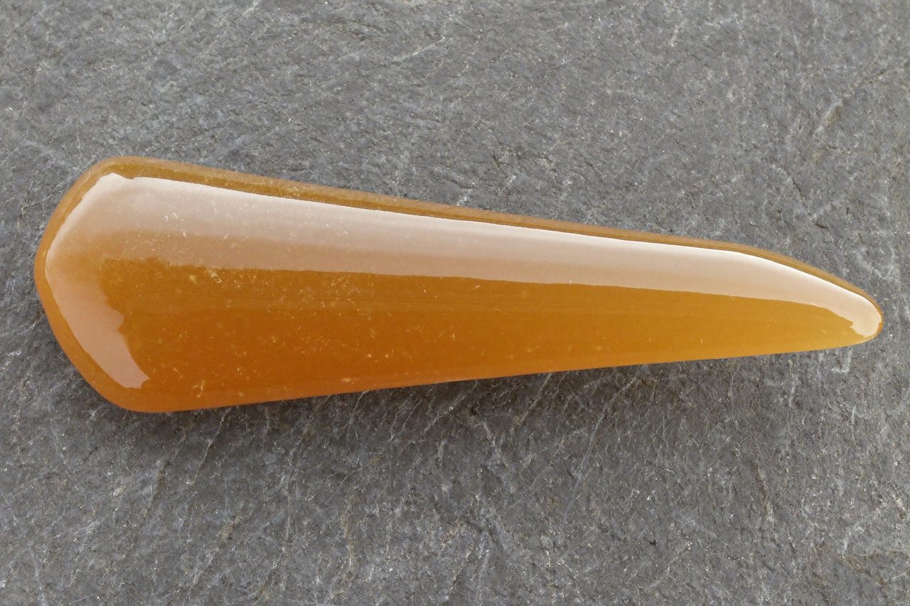 Fossil: Belemnit