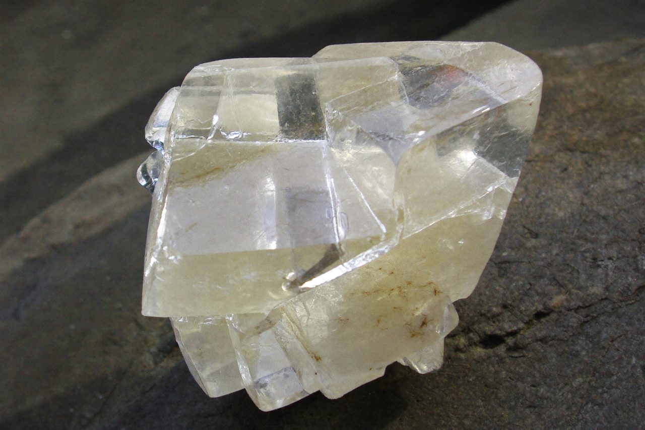 Fossil: Calcite
