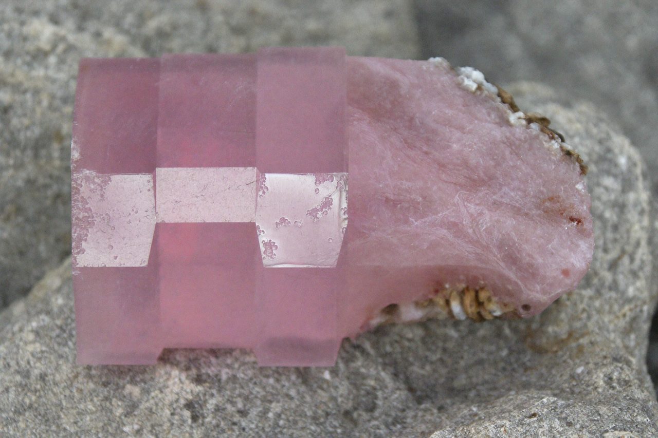 Fossil: Feldspar