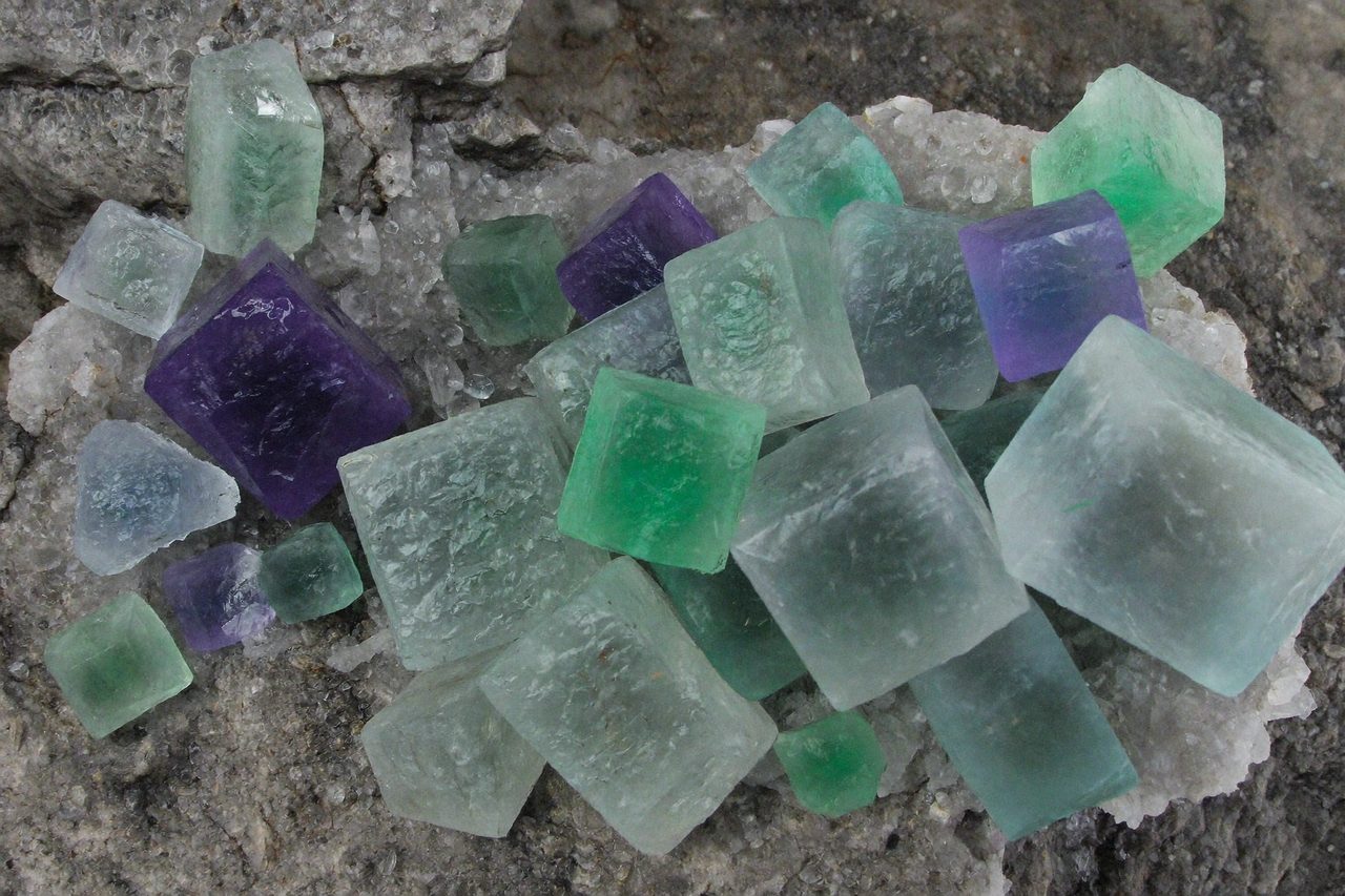 Fossil: Fluorite