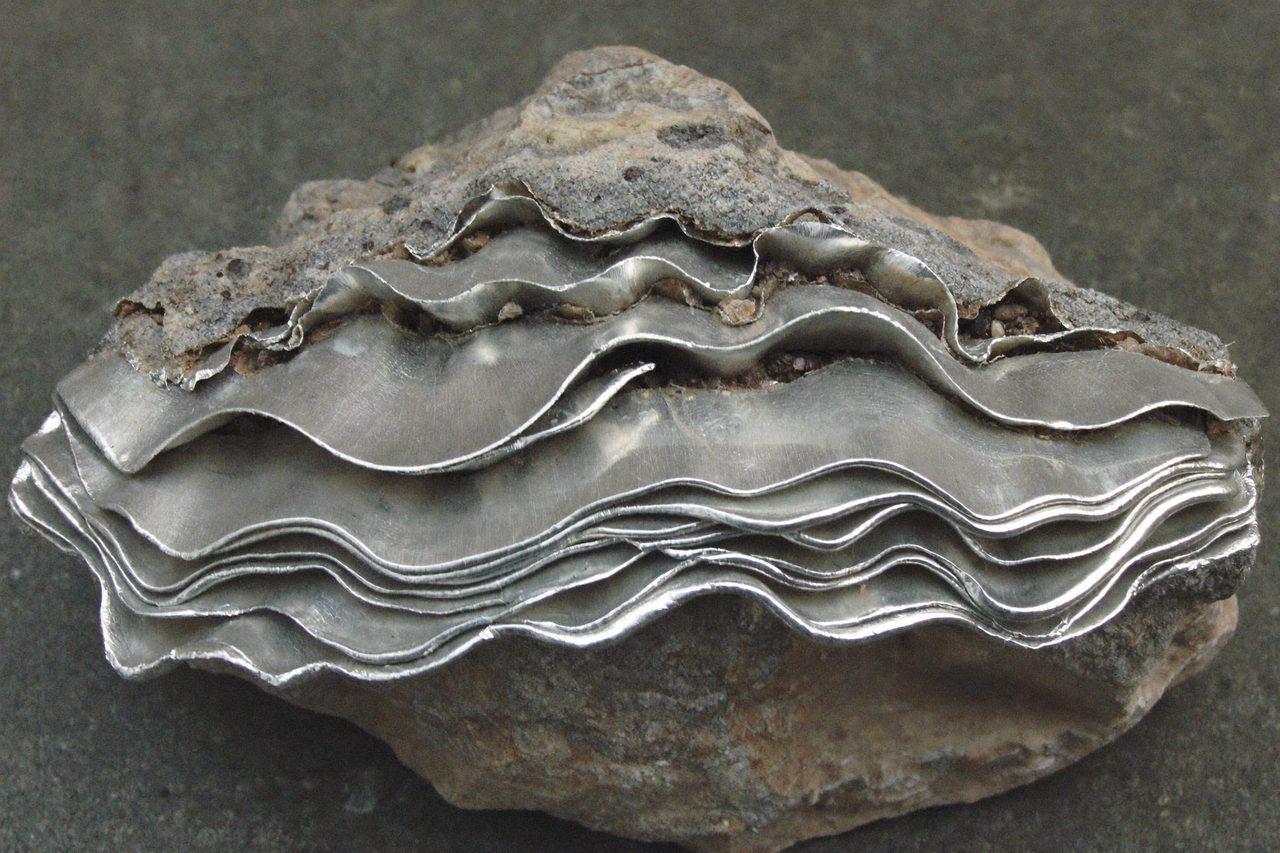 Fossil: Mica