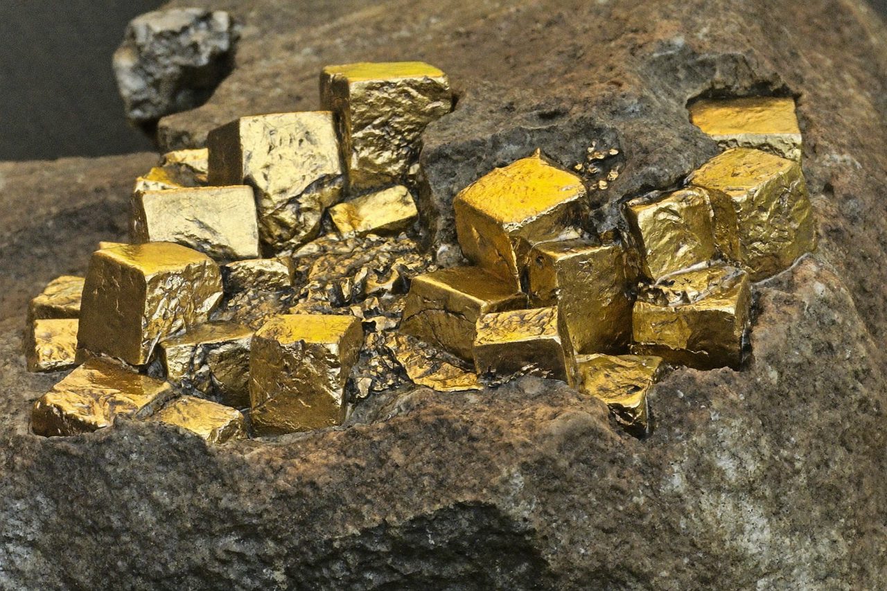 Fossil: Pyrite