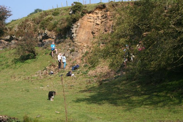Fossilien in der Nähe finden