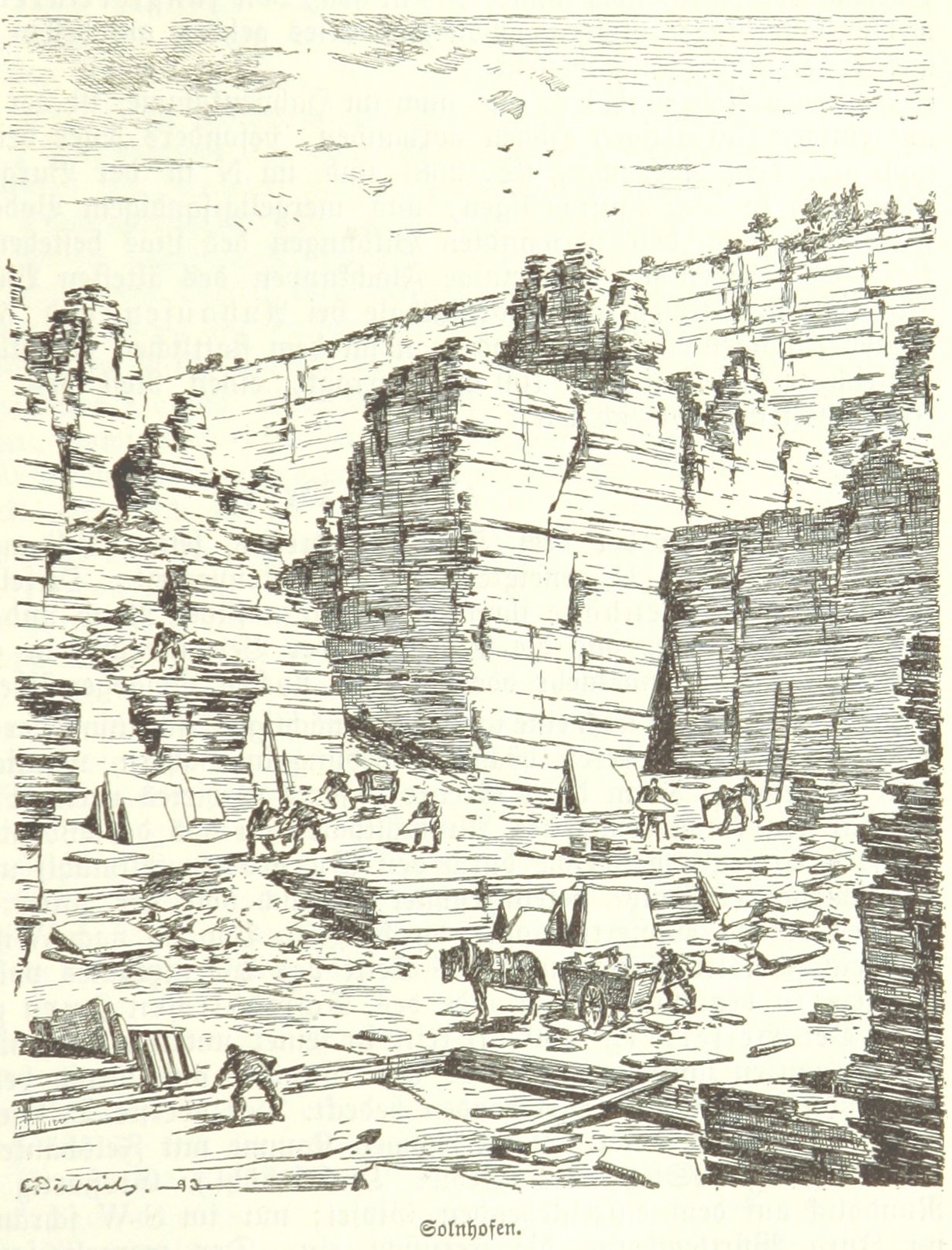 Fossilien in Solnhofen & im Altmühltal