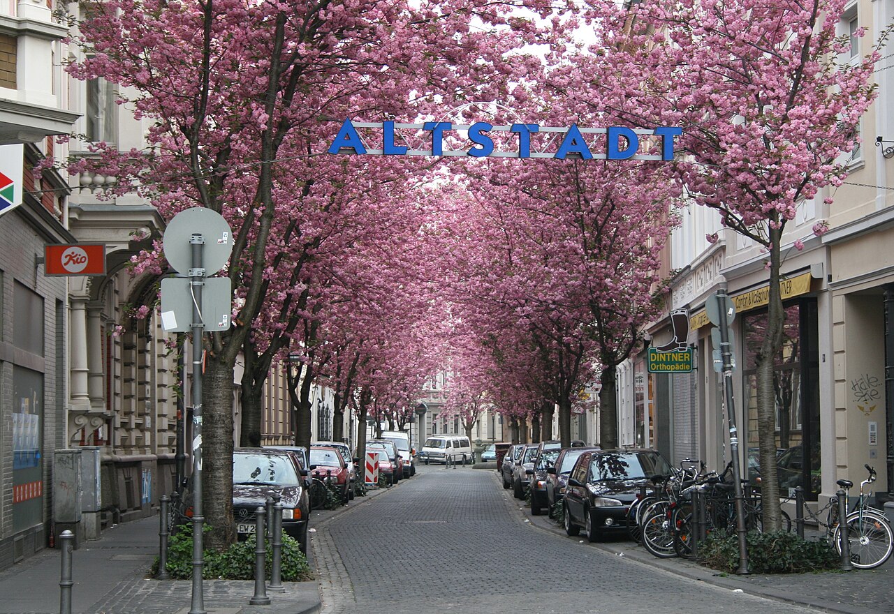 Bonn