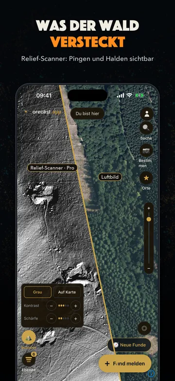 Ce que cache la forêt. Scanner de relief : fosses et haldes rendues visibles