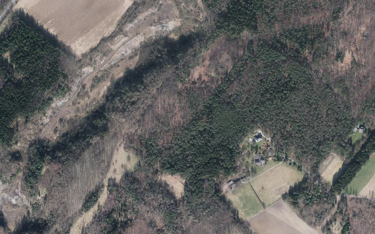 Photo aérienne : prairies et forêt près de Diepenlinchen